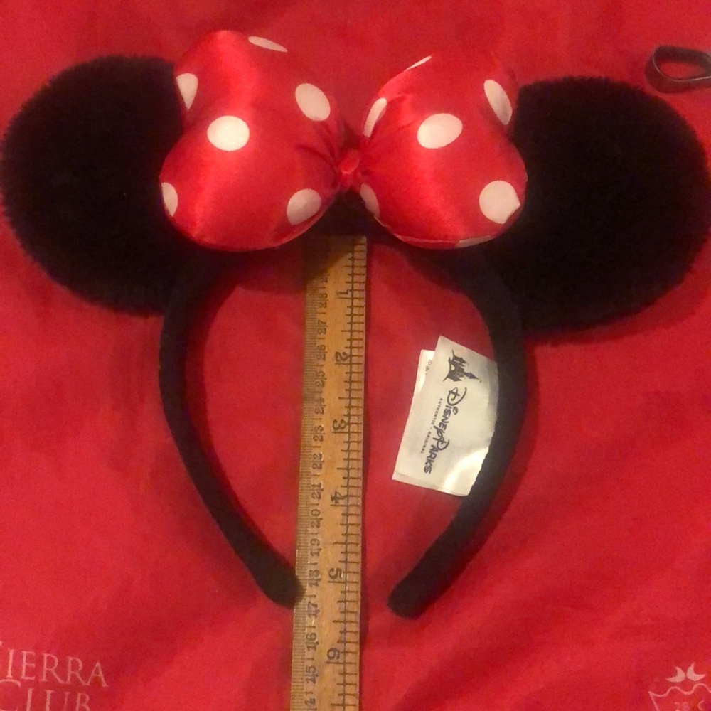 Disney Minnie mouse ears and coloring book